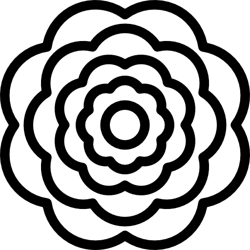 spiral # 93538