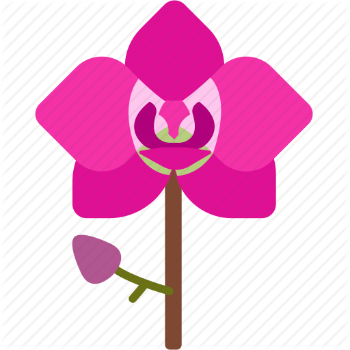 flower # 97534