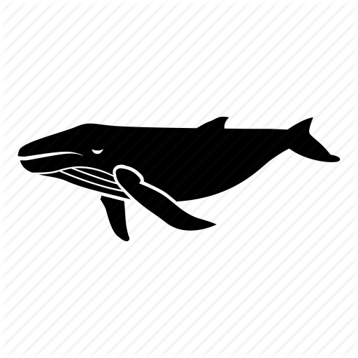 whale # 74631
