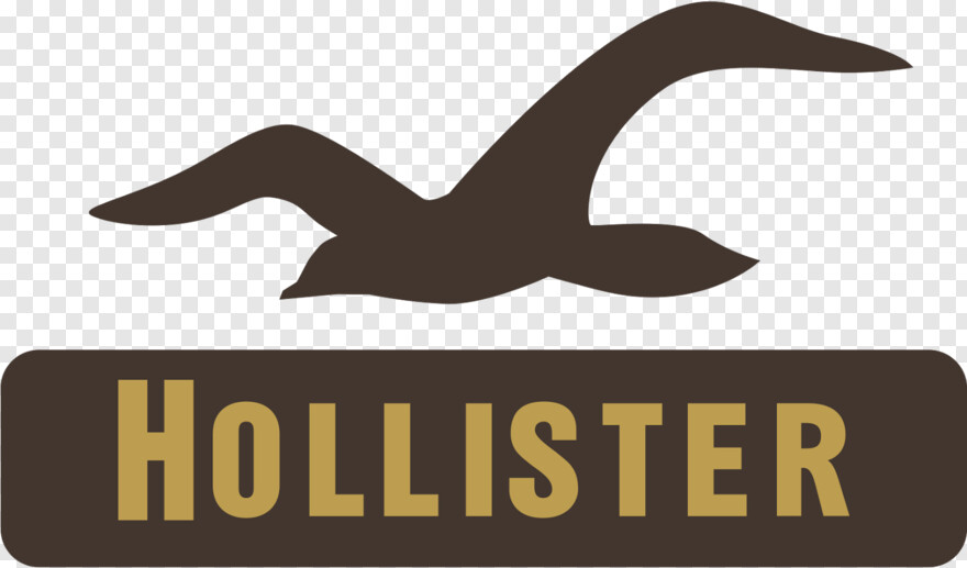 hollister-logo # 971702