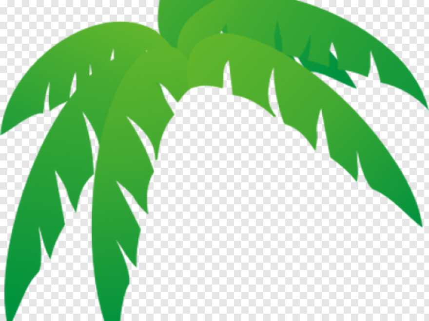 palm-tree # 460630