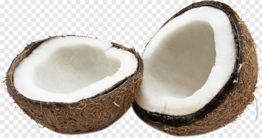 coconut # 990216
