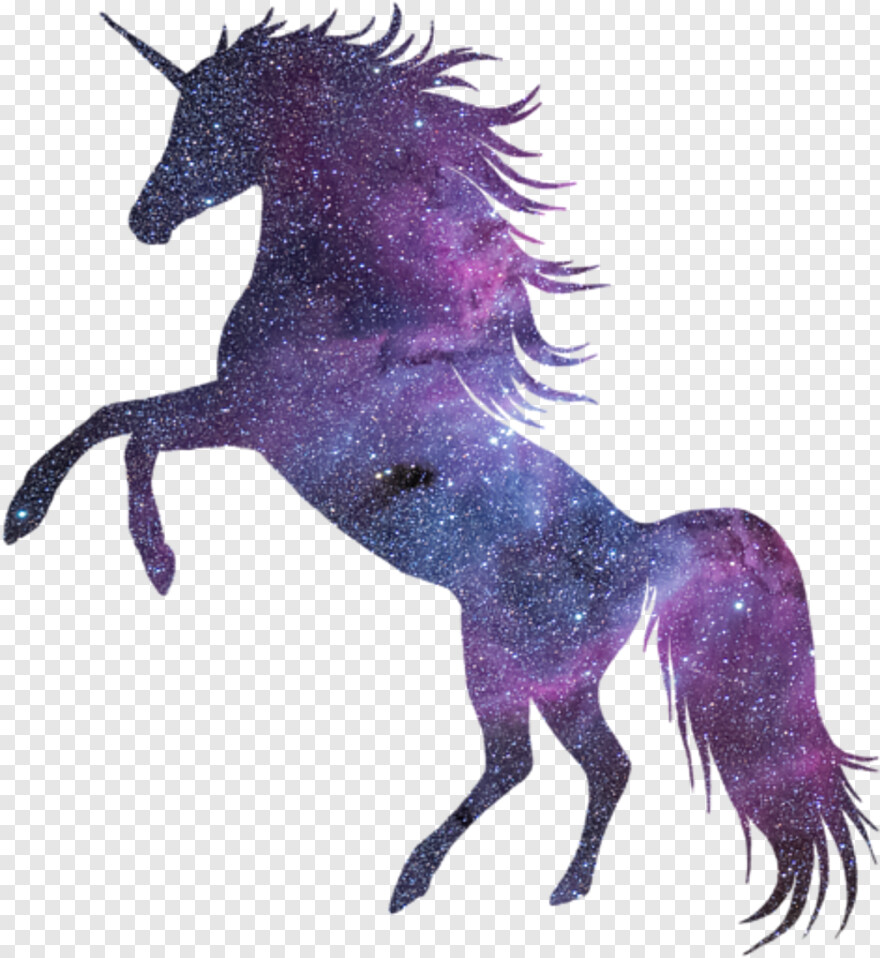 unicorn # 488926