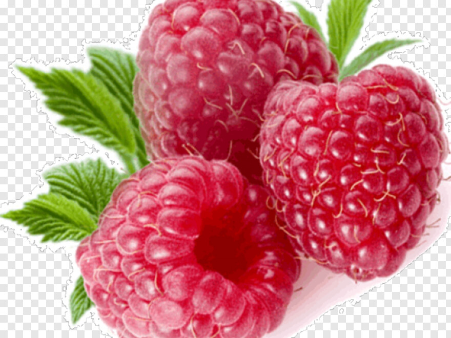 raspberry # 638491