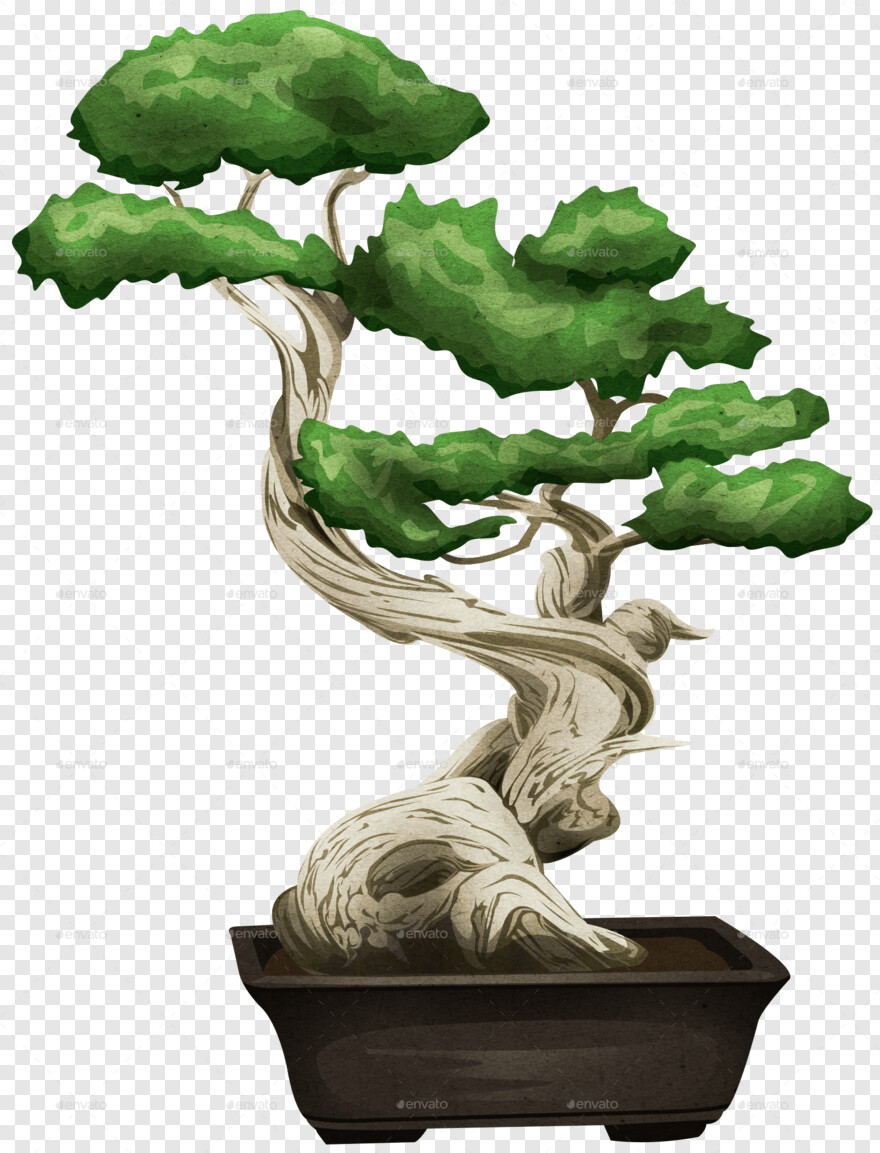bonsai-tree # 333092
