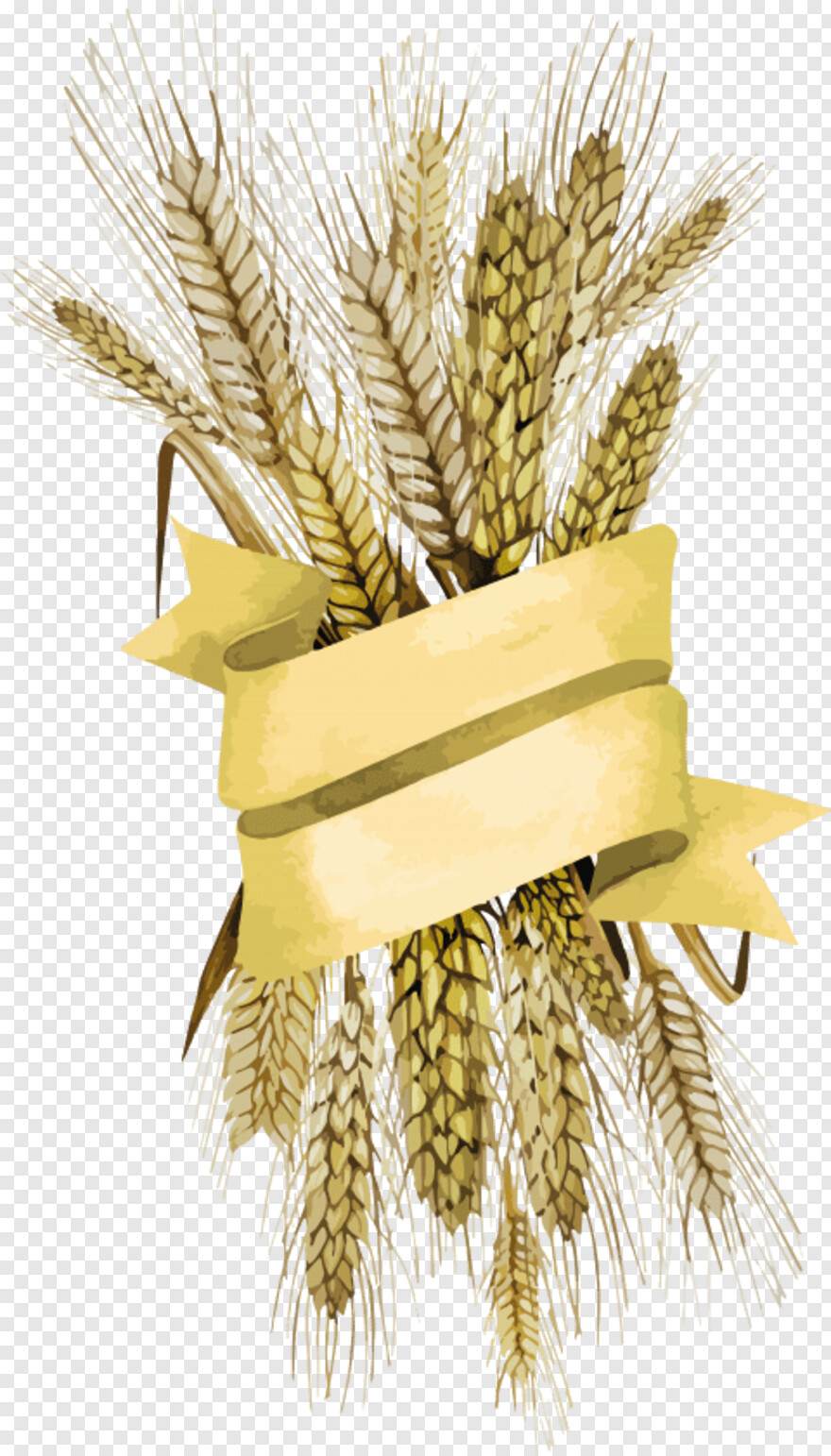 wheat # 1042742