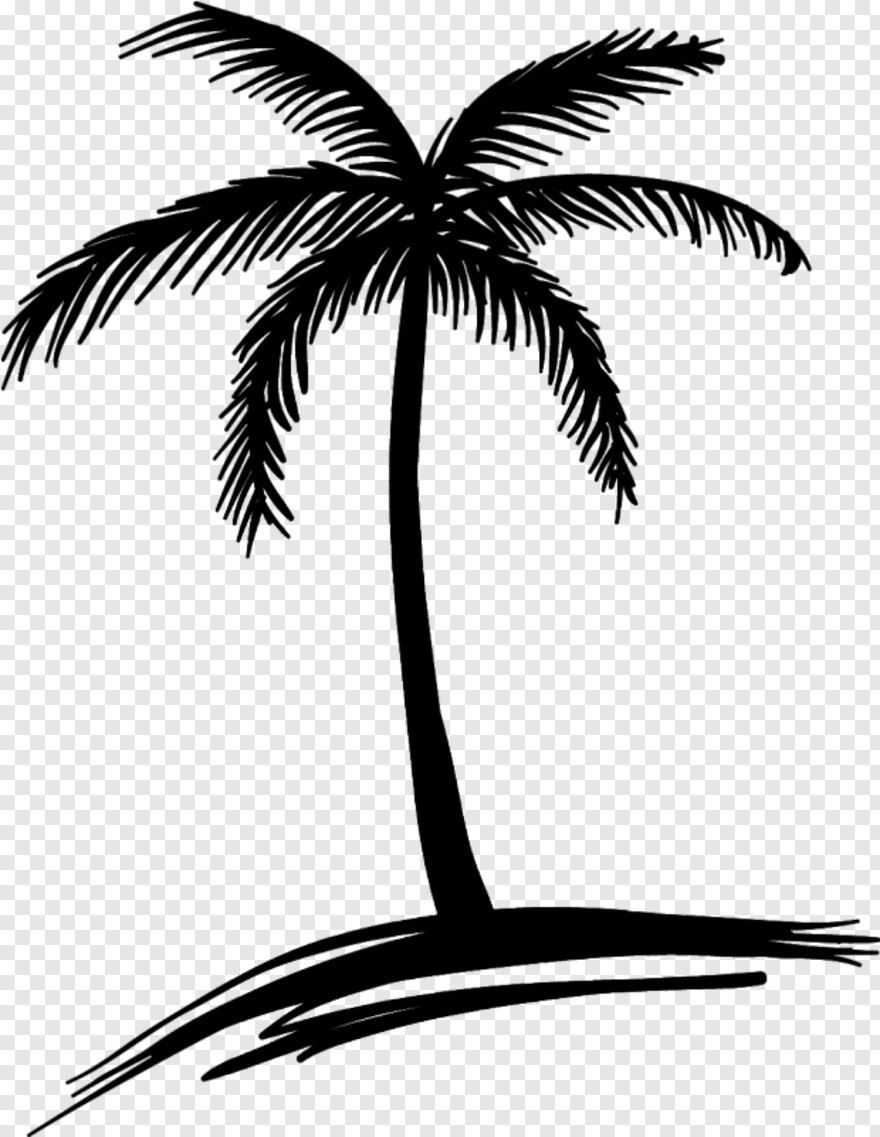 palm-tree # 460610