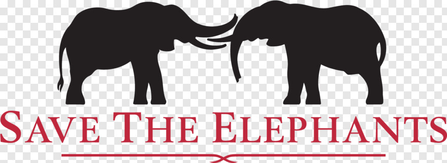elephant # 1057824
