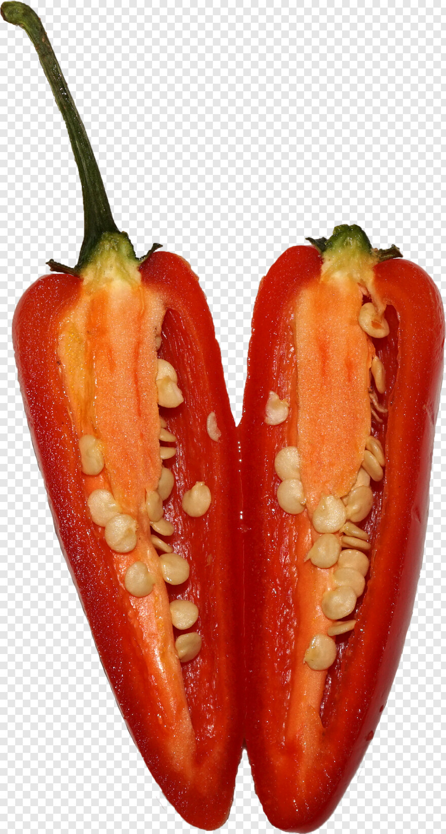 chili-pepper # 375302