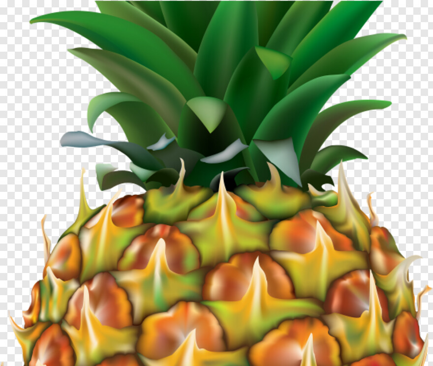pineapple # 654201