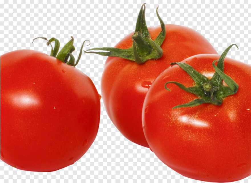 tomato # 601337