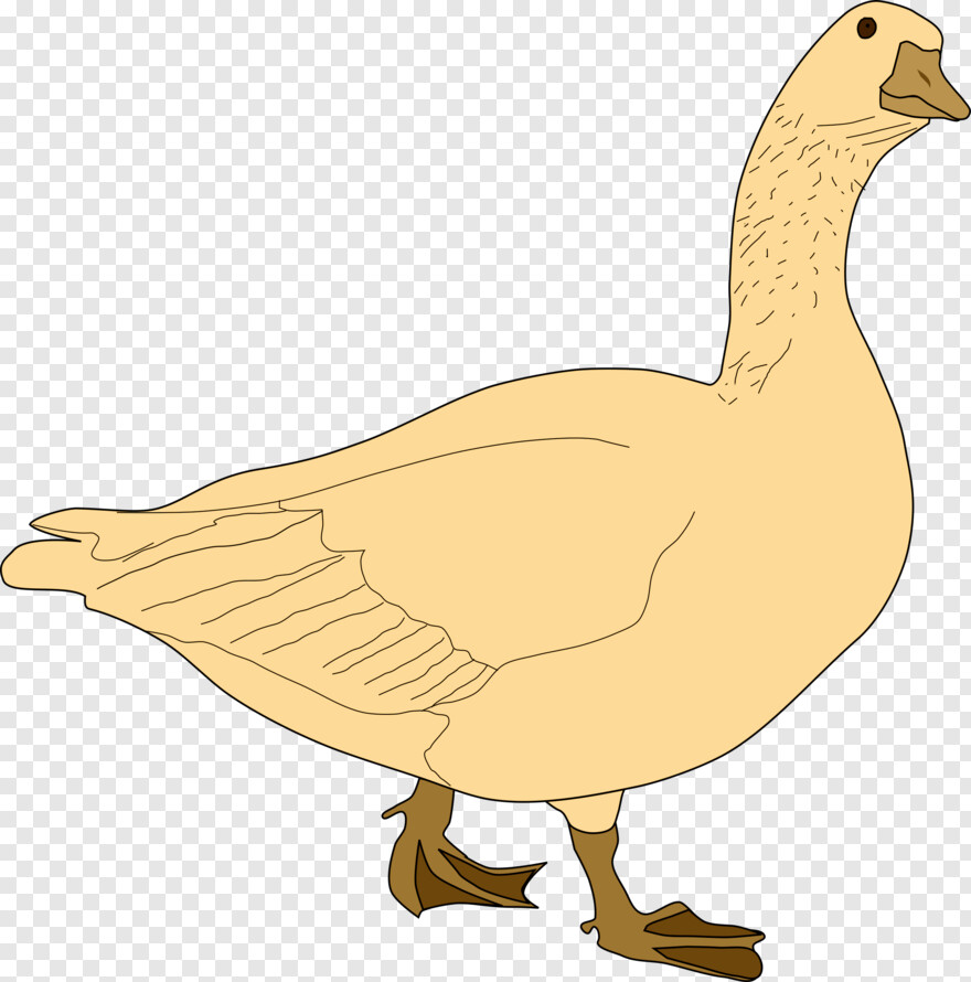 goose # 871611