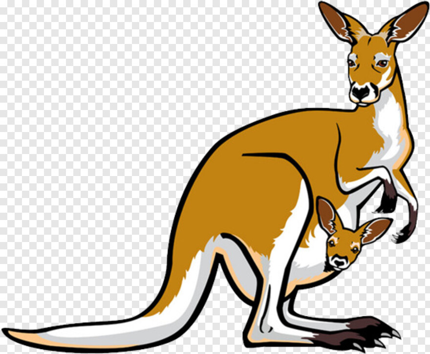 kangaroo # 840985