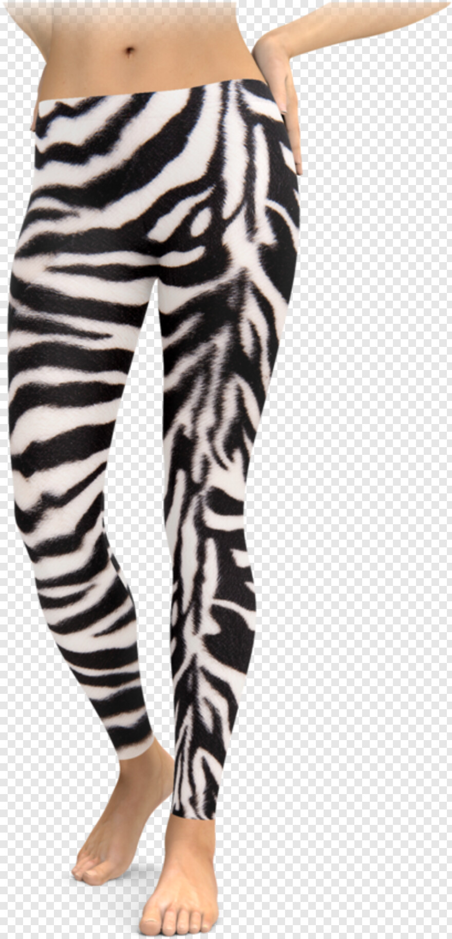 zebra # 762021