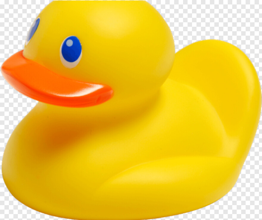 daffy-duck # 425424