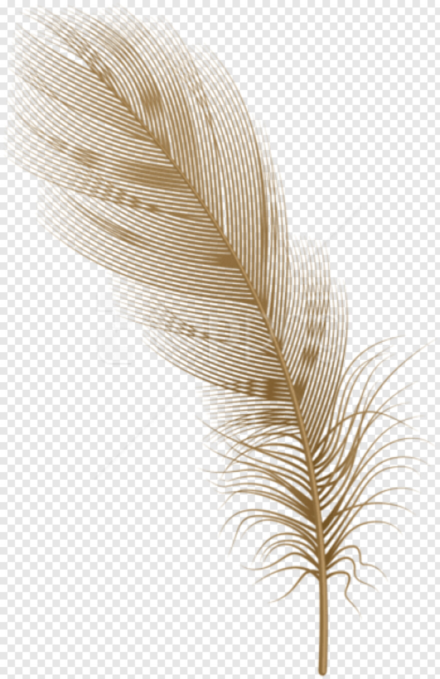 feather-silhouette # 842408