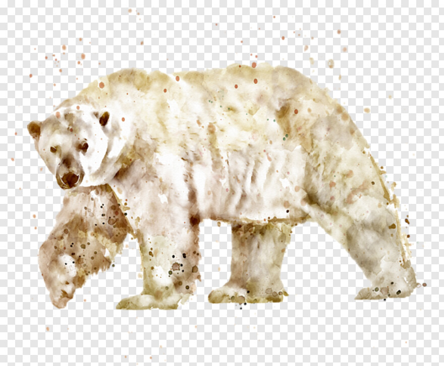 polar-bear # 387694
