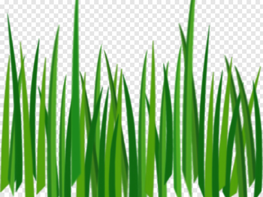 grass-texture # 427731