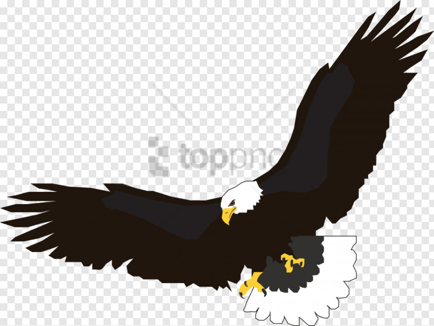 eagle # 877977