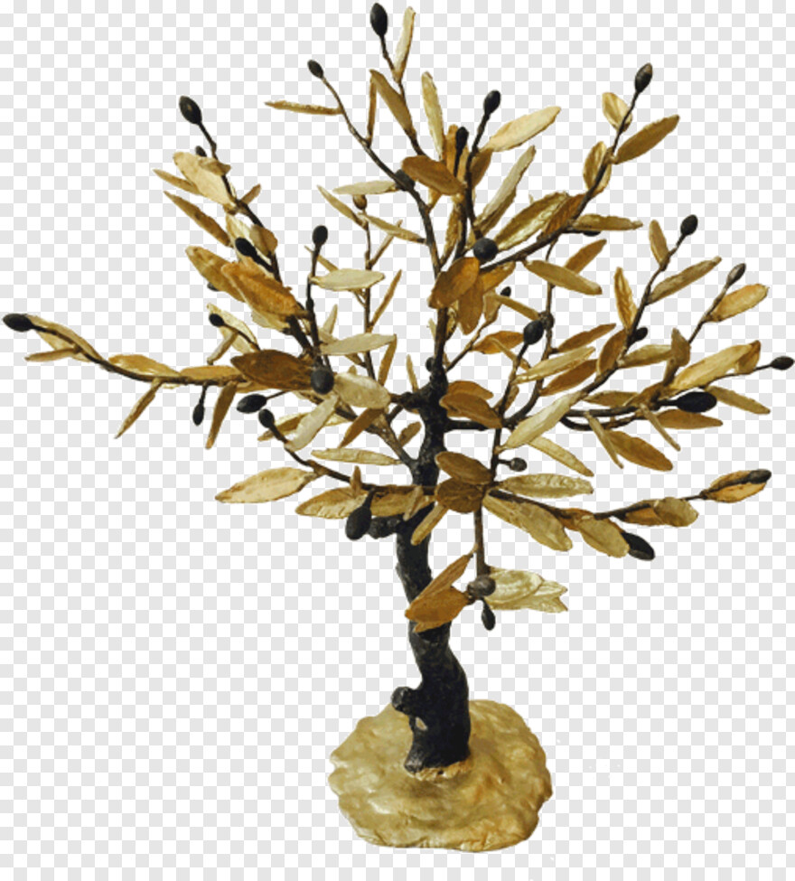 bonsai-tree # 333074