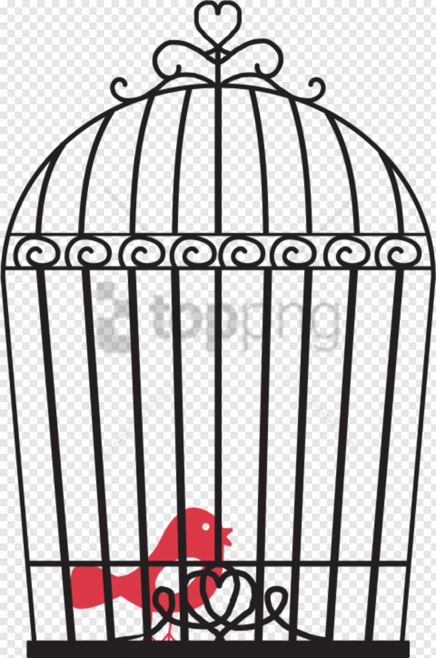 bird-cage # 360006