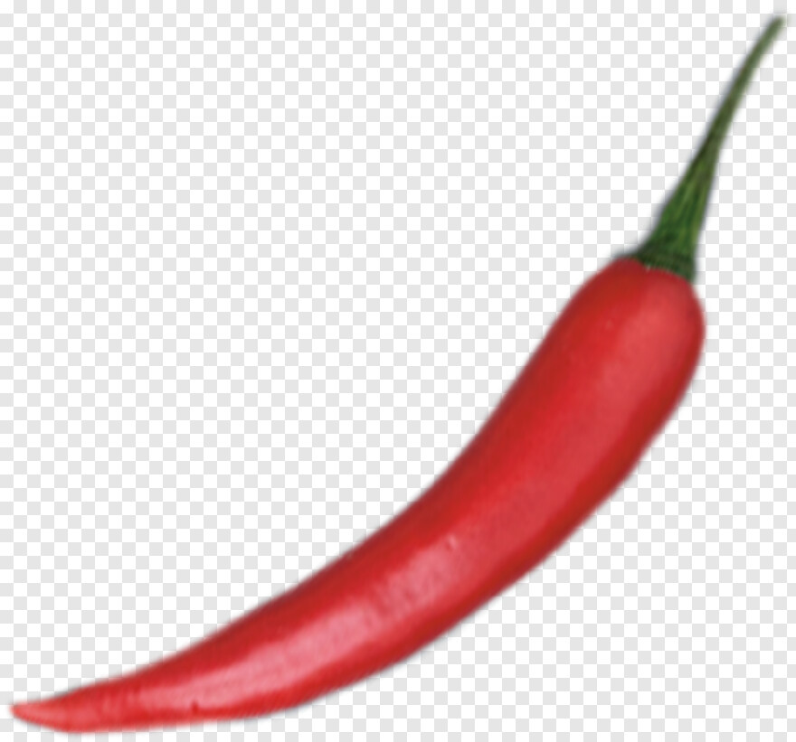 chili-pepper # 360985