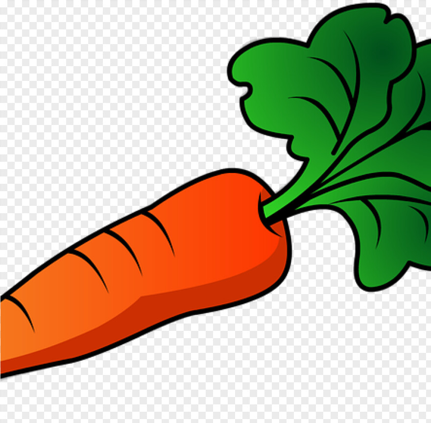 carrot # 1061218