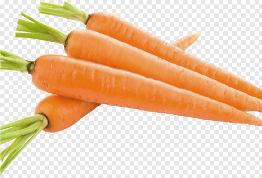 carrot # 1061222