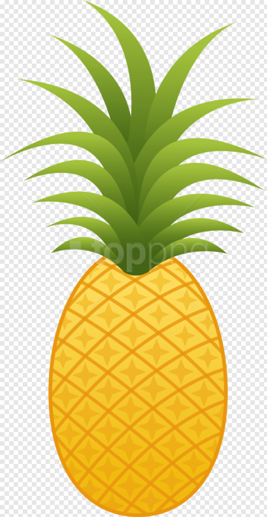 pineapple # 654183