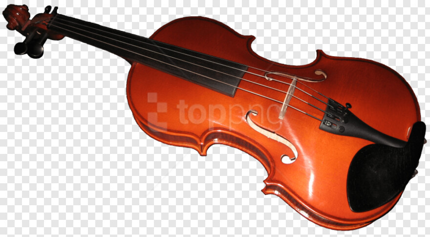 violin # 427250
