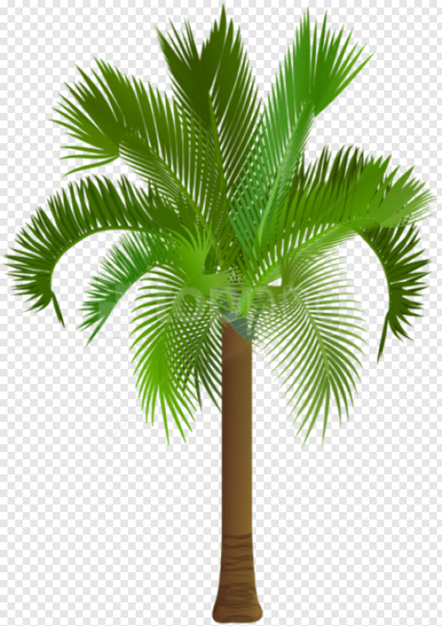 palm-tree # 460566