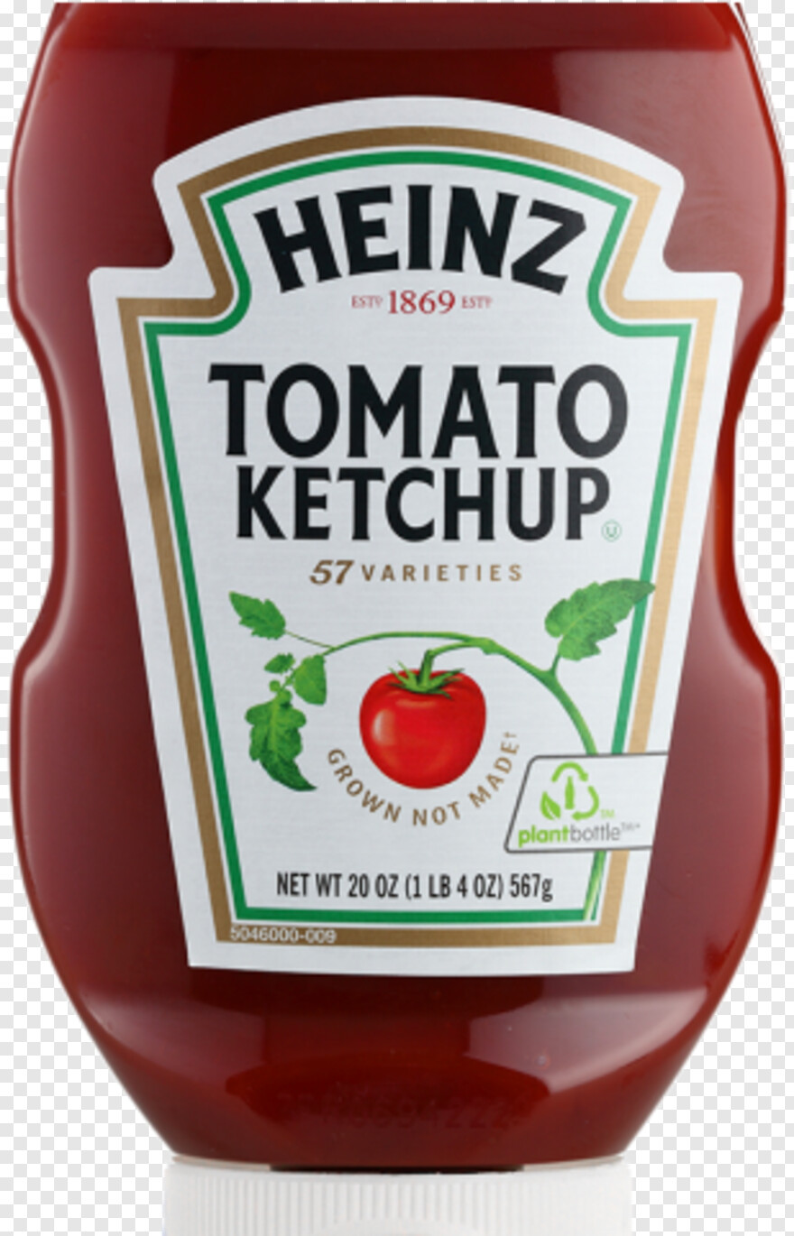 ketchup # 732752