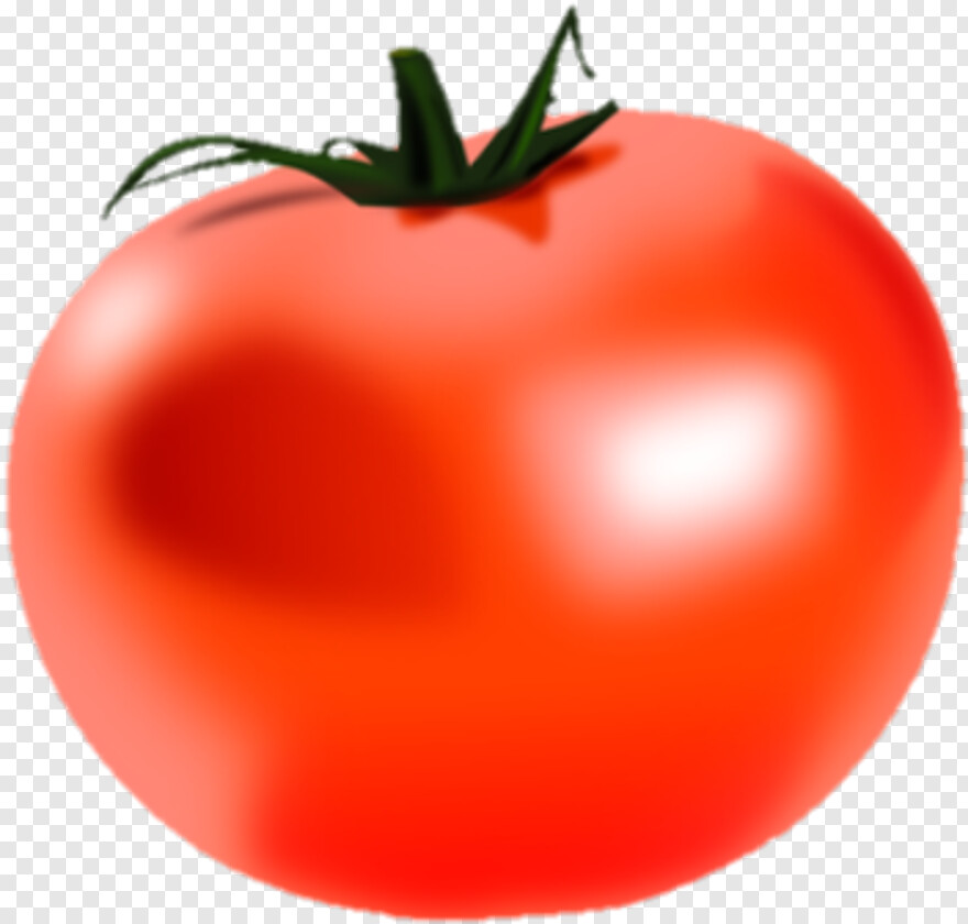 tomato # 650414
