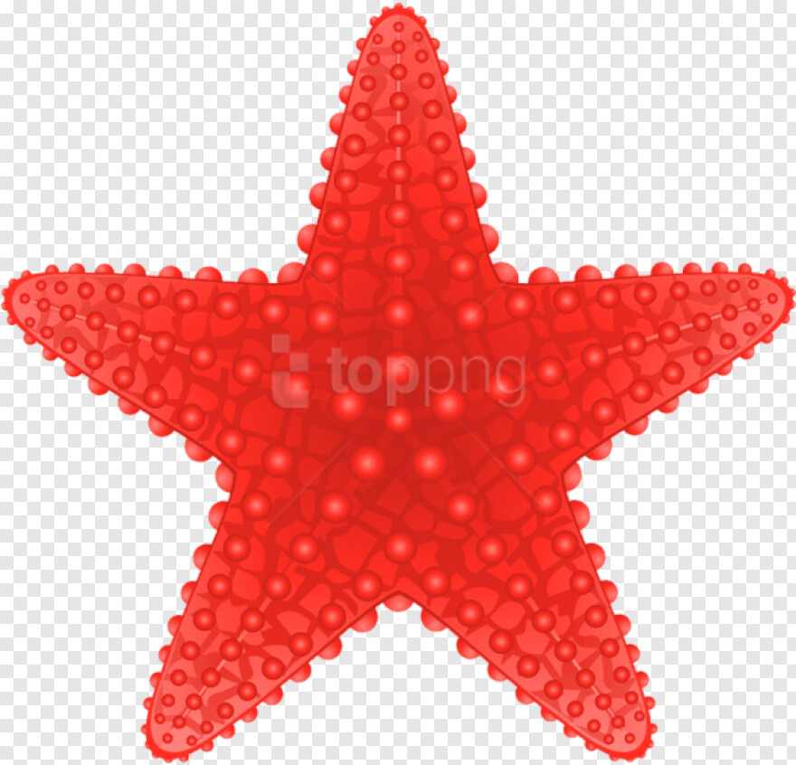starfish # 612012