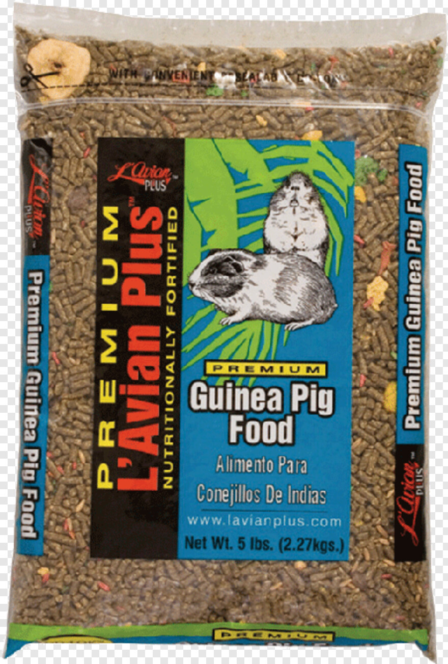 guinea-pig # 778863
