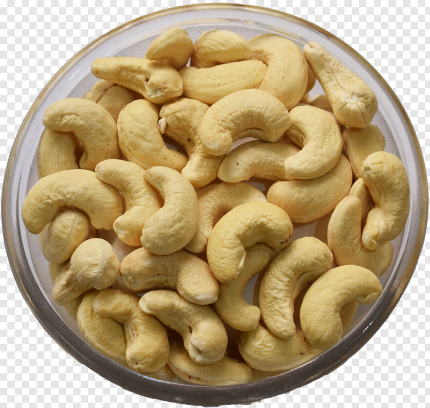 cashew # 1052418