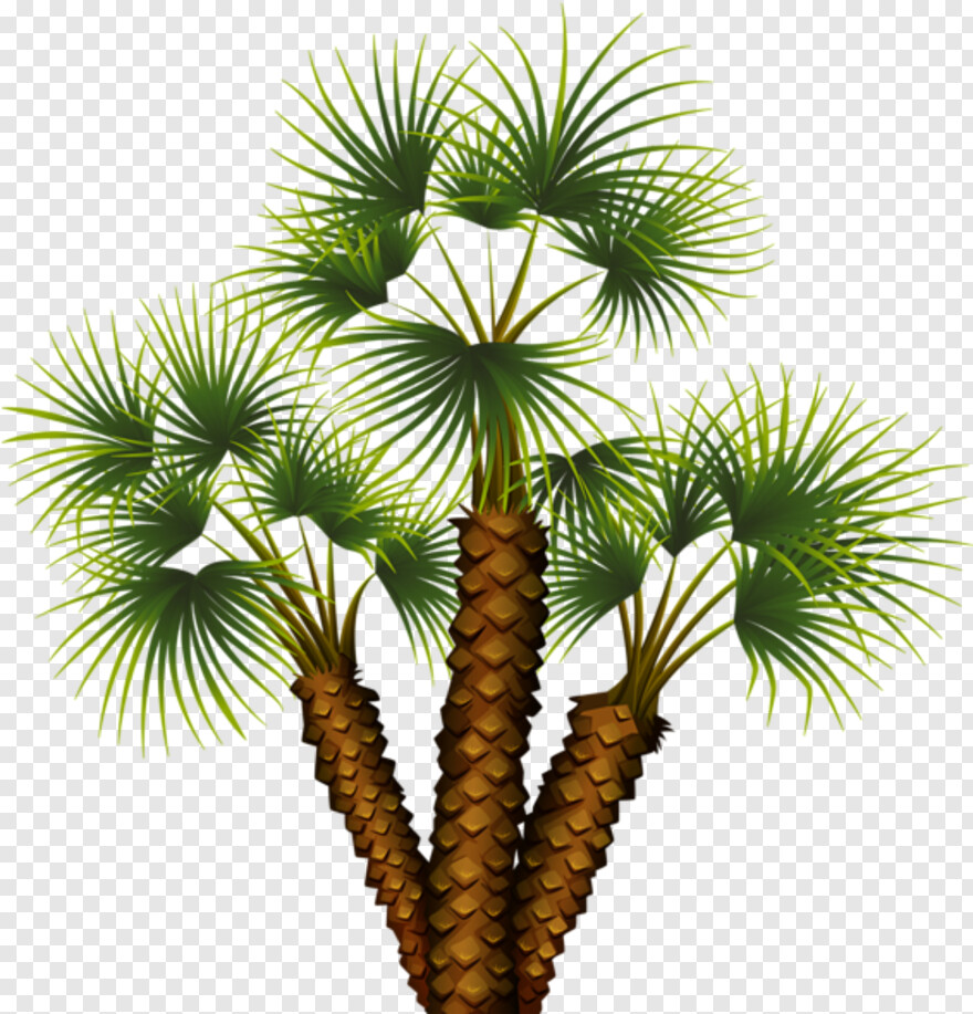 palm-tree # 476330