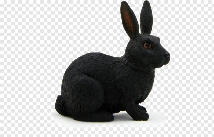 rabbit # 639917