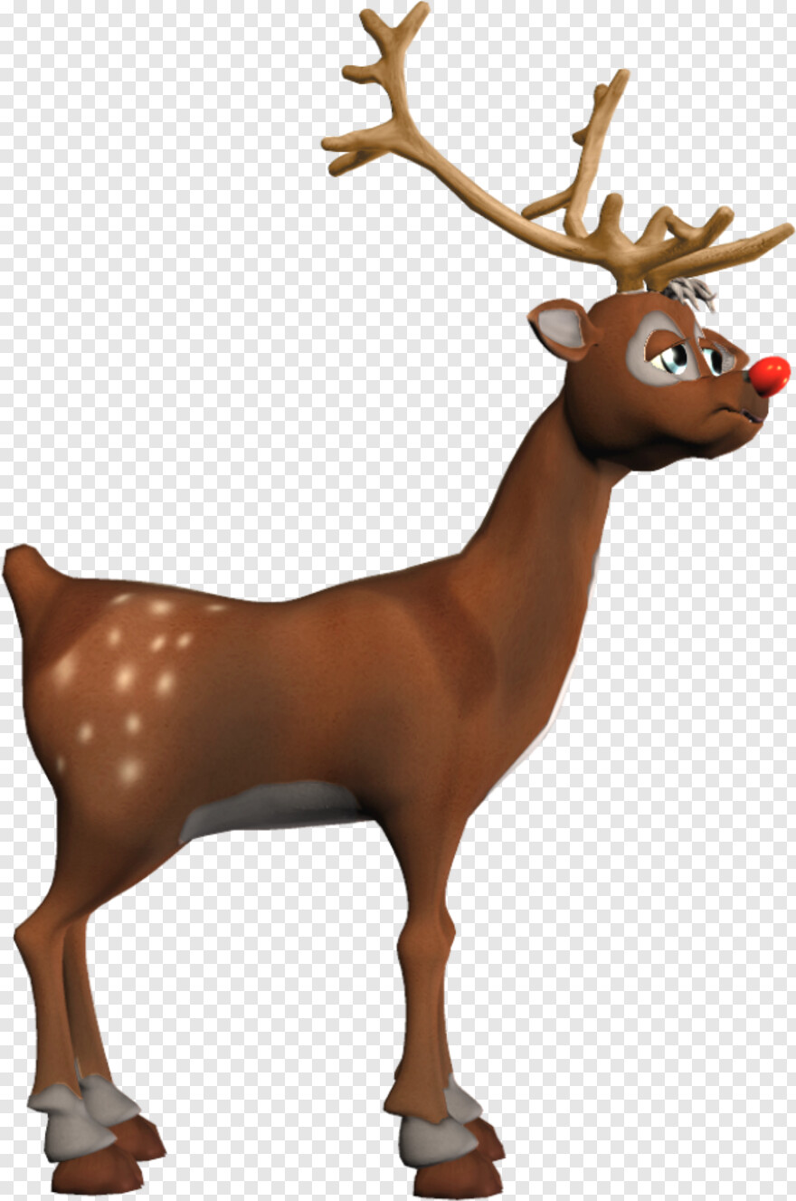 reindeer # 636495