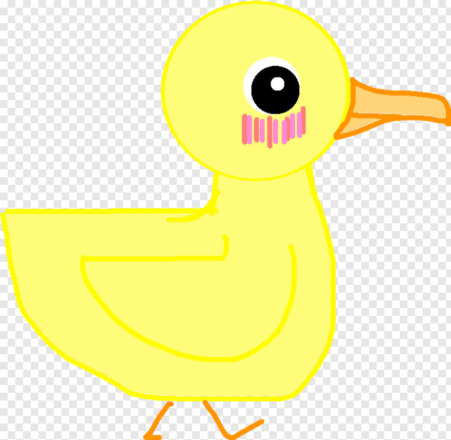 duck # 879978