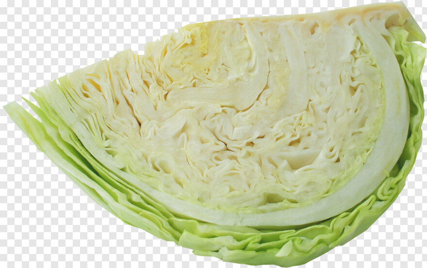 cabbage # 1089982