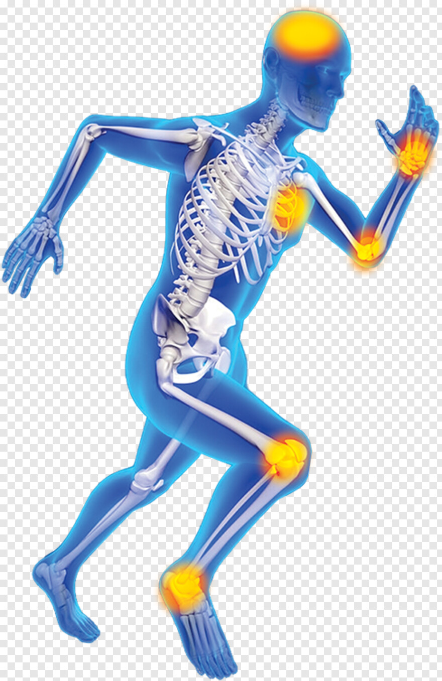 skeleton # 736189