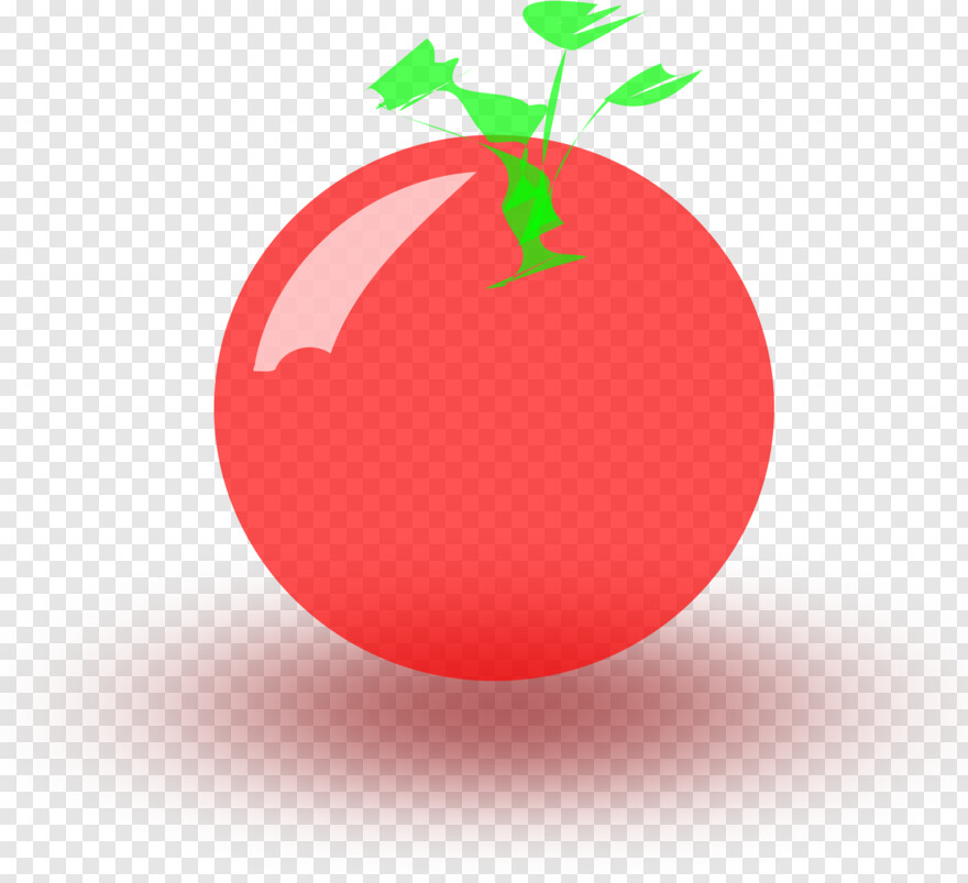 tomato # 974146