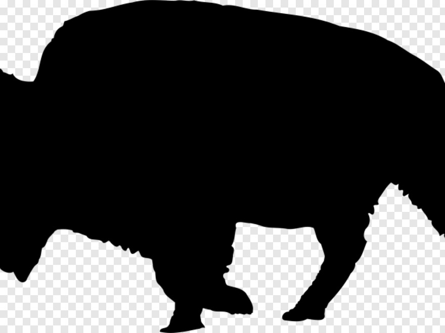 indian-buffalo # 357683