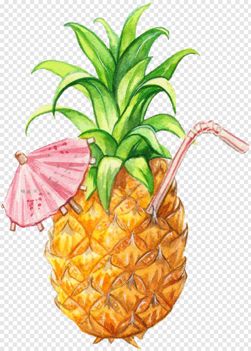 pineapple # 751715