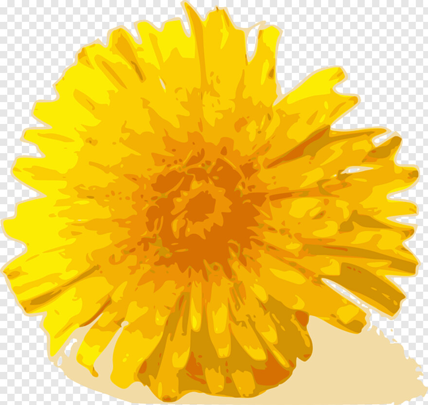 yellow-flowers # 344650