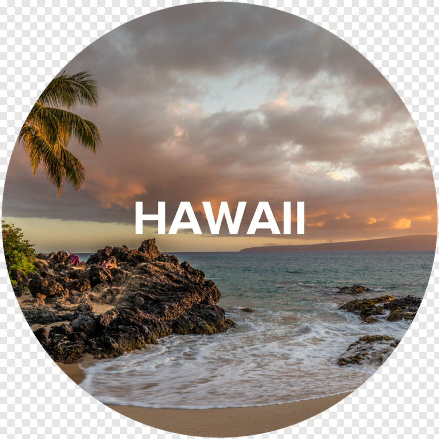 hawaii # 383601