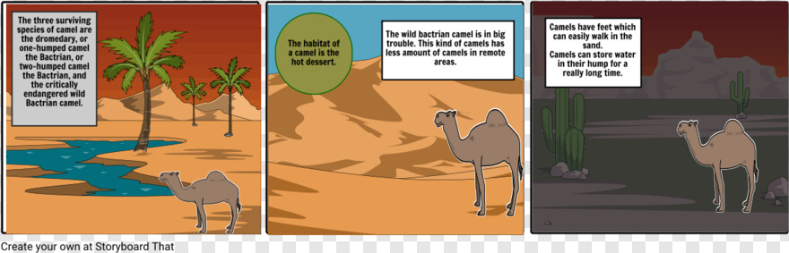 camel-vector # 1080114