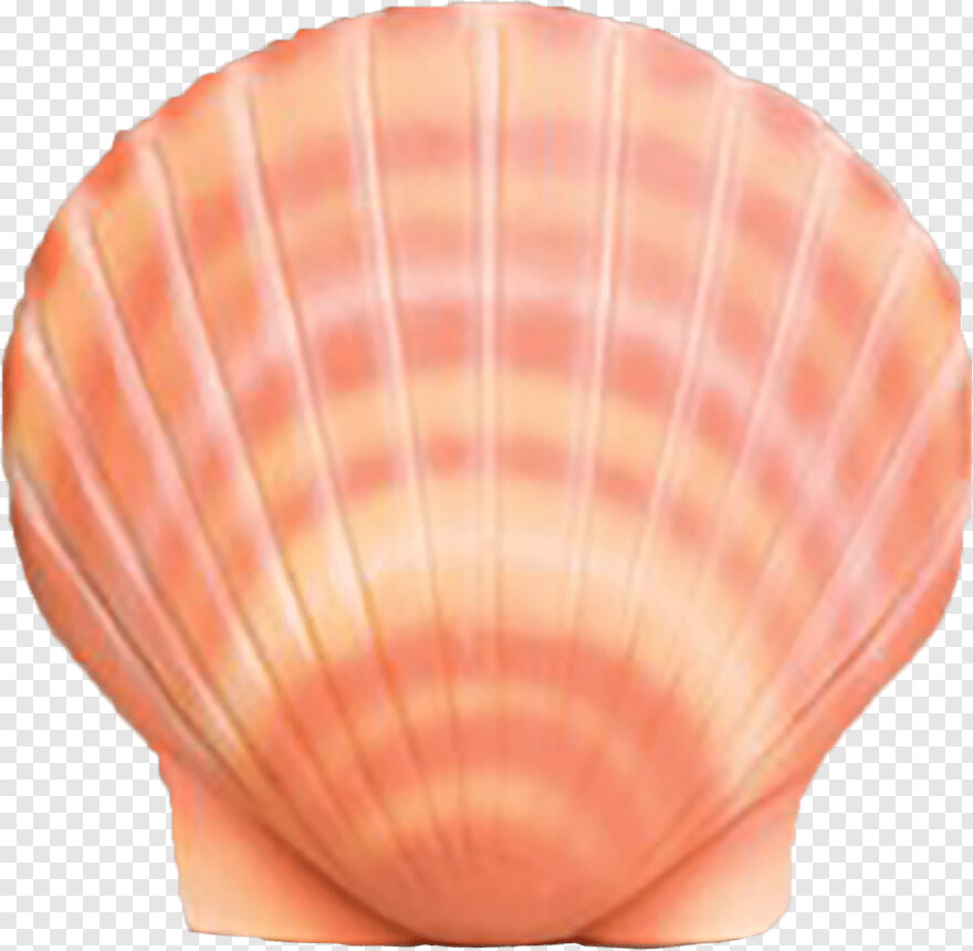 shell-logo # 623249