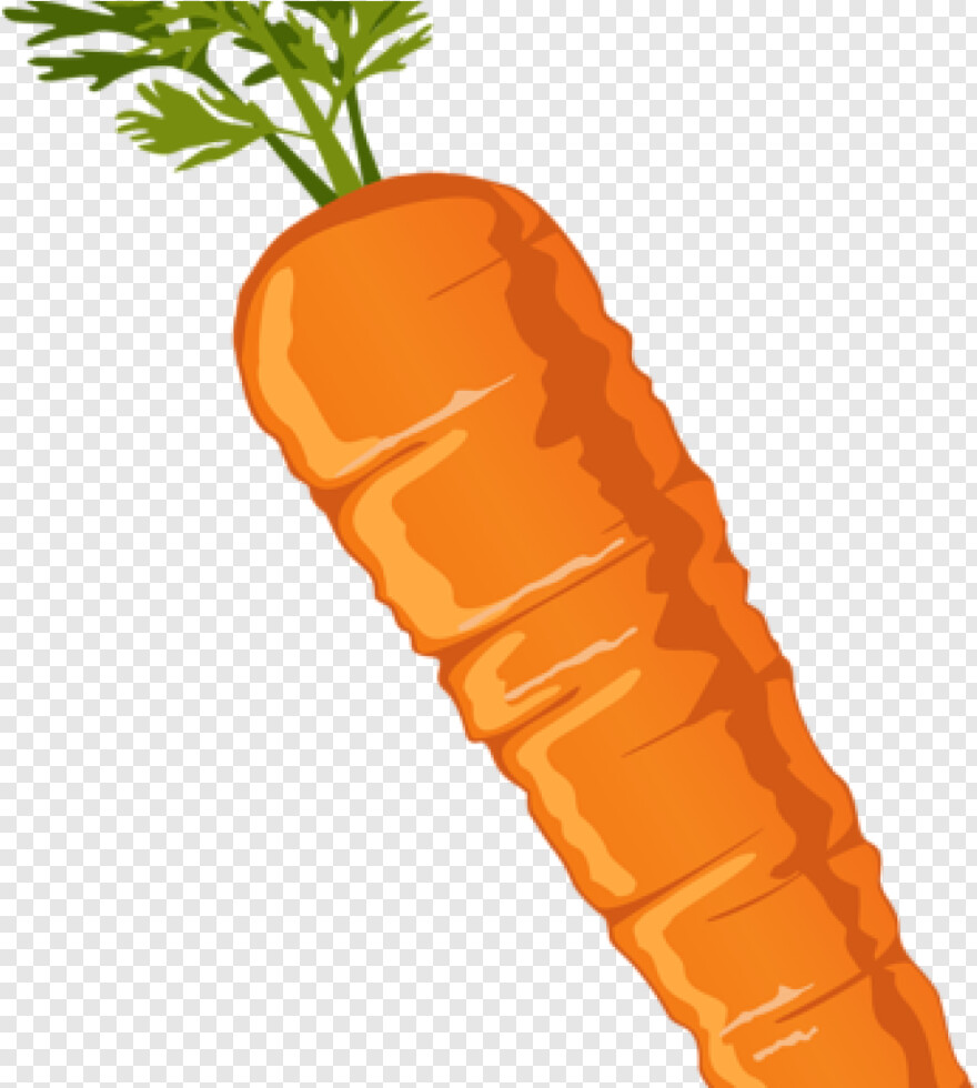carrot # 1061258